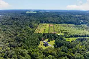 2208 Leadenwah Dr, Wadmalaw Island, SC 29487 - Photo 54