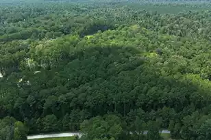 4-C Marjorie Ln, Ridgeville, SC 29472 - Photo 8