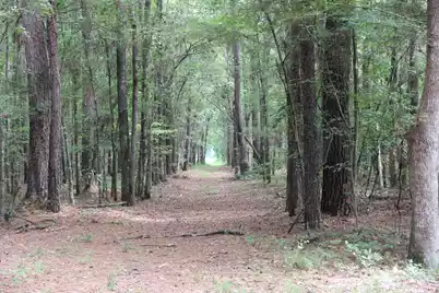 00 4 Holes Road, Orangeburg, SC 29115 - Photo 20