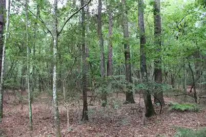 00 4 Holes Road, Orangeburg, SC 29115 - Photo 24