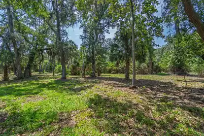 0 Palmetto Road, Edisto Island, SC 29438 - Photo 6