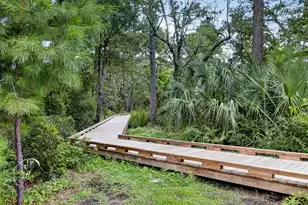 145 Low Tide Ct, Charleston, SC 29492 - Photo 42
