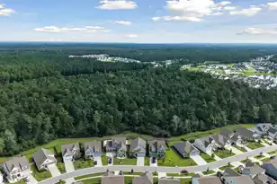 216 Shortmarsh St, Summerville, SC 29486 - Photo 50