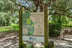 354 Cottage Farm Dr, Beaufort, SC 29902 - Photo 54