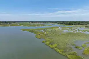 354 Cottage Farm Dr, Beaufort, SC 29902 - Photo 58