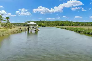 8704 Middleton Point Ln, Edisto Island, SC 29438 - Photo 66