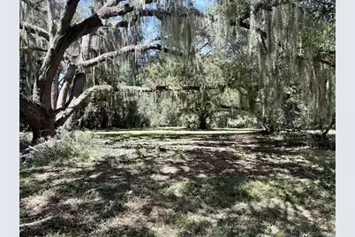 7817 Little Britton Road (Lot A-3), Meggett, SC 29449 - Photo 16
