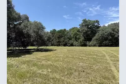 7817 Little Britton Road  (Lot A-4), Meggett, SC 29449 - Photo 14