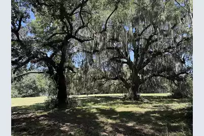7817 Little Britton Road (C-1-C), Meggett, SC 29449 - Photo 18