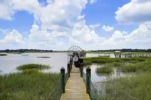 2509 Brighton Ln, Beaufort, SC 29902 - Photo 56