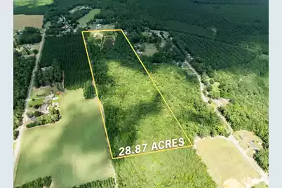 355 McClam Road, Cades, SC 29518 - Photo 6