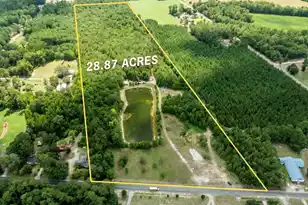 355 McClam Rd, Cades, SC 29518 - Photo 1