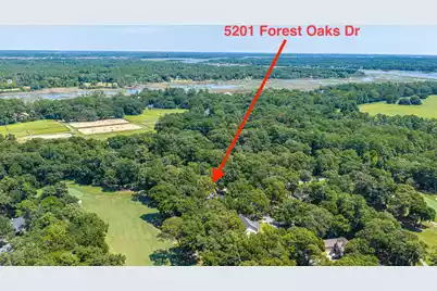 5201 Forest Oaks Drive, Hollywood, SC 29449 - Photo 48