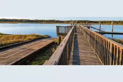 1462 Alligator Creek Court, Awendaw, SC 29429 - Photo 88