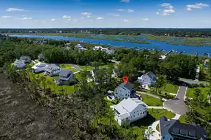 1462 Alligator Creek Ct, Awendaw, SC 29429 - Photo 108
