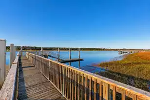 1462 Alligator Creek Ct, Awendaw, SC 29429 - Photo 86