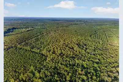 0 Greenwood Road, Adams Run, SC 29426 - Photo 10