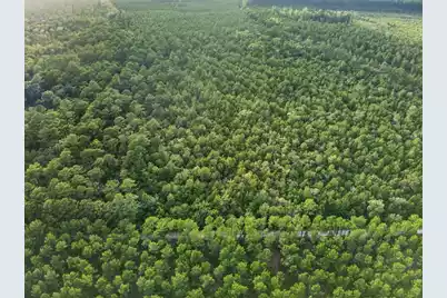0 Greenwood Road, Adams Run, SC 29426 - Photo 14