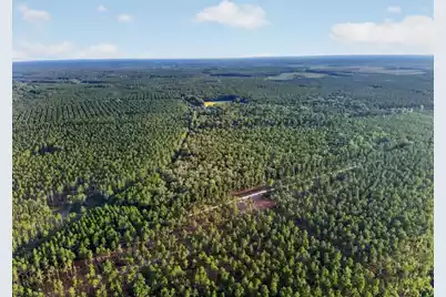 0 Greenwood Road, Adams Run, SC 29426 - Photo 20