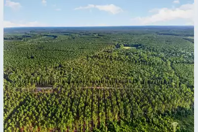 0 Greenwood, Adams Run, SC 29426 - Photo 2