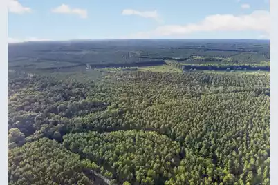 0 Greenwood, Adams Run, SC 29426 - Photo 24