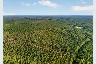 0 Greenwood, Adams Run, SC 29426 - Photo 6