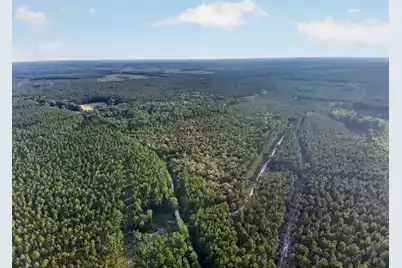 0 Greenwood, Adams Run, SC 29426 - Photo 18