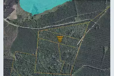 0 Greenwood, Adams Run, SC 29426 - Photo 4