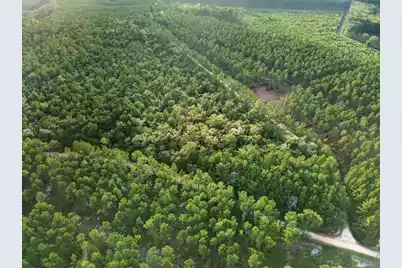 0 Greenwood, Adams Run, SC 29426 - Photo 14