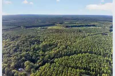 0 Greenwood, Adams Run, SC 29426 - Photo 22