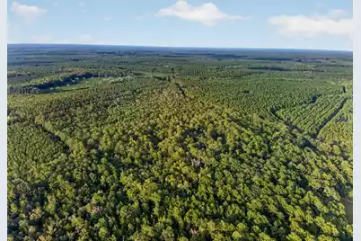 0 Greenwood, Adams Run, SC 29426 - Photo 20