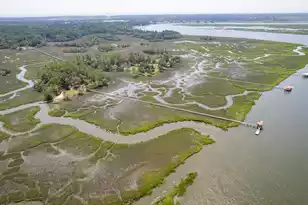 3305 Hopkinson Plantation Rd, Johns Island, SC 29455 - Photo 84