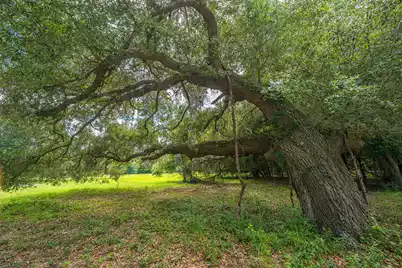 0 Holly Creek Road #Lot 4A, Charleston, SC 29412 - Photo 14