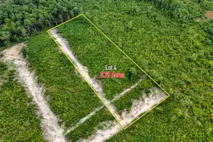 0 County Rd, Summerville, SC 29483 - Photo 1