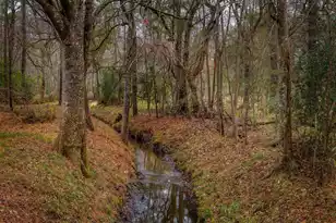 1708 Boyd N Hayes Rd, Johns Island, SC 29455 - Photo 22