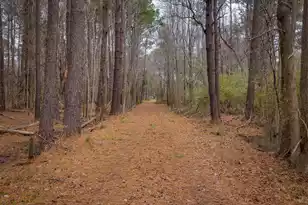 1708 Boyd N Hayes Rd, Johns Island, SC 29455 - Photo 28