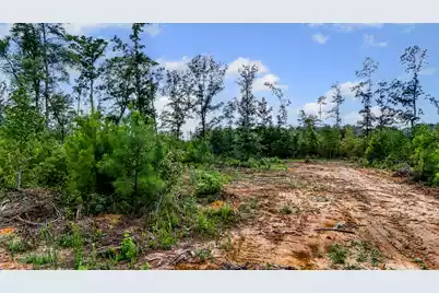 00 County Road, Summerville, SC 29483 - Photo 8