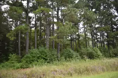 Tbd Charleston Road, Lane, SC 29564 - Photo 1