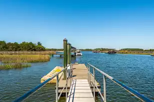 2678 Egrets Landing Ct, Mount Pleasant, SC 29466 - Photo 68