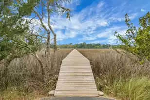 1307 Chardon Cmns, Johns Island, SC 29455 - Photo 66