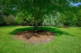 1253 Blackwell Dr, Manning, SC 29102 - Photo 74