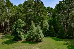1253 Blackwell Dr, Manning, SC 29102 - Photo 84