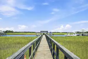 309 Palm Blvd, Isle Of Palms, SC 29451 - Photo 62