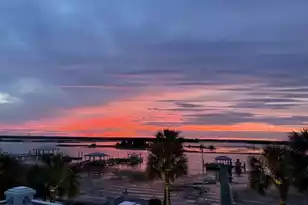 309 Palm Blvd, Isle Of Palms, SC 29451 - Photo 68