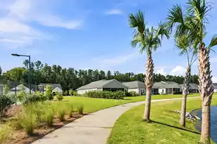 1119 Kane Blue Run, Summerville, SC 29485 - Photo 16