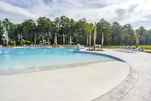 358 Camellia Bloom Dr, Moncks Corner, SC 29461 - Photo 28