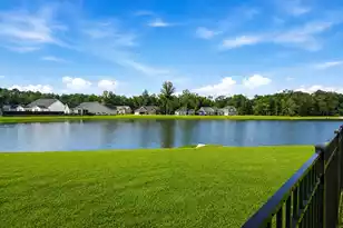118 Jesup Ct, Ridgeville, SC 29472 - Photo 38