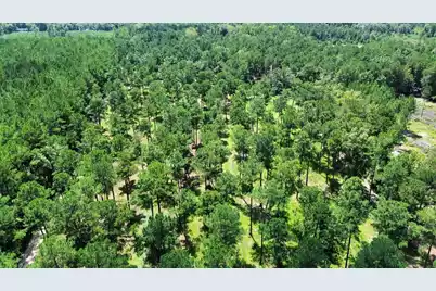1647 Smoak Road, Walterboro, SC 29488 - Photo 20