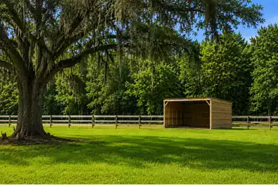 3189 Edenvale Road, Johns Island, SC 29455 - Photo 16
