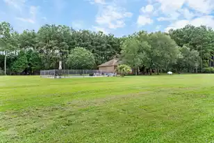 151 Sunny Plain Rd, Saint Matthews, SC 29135 - Photo 32